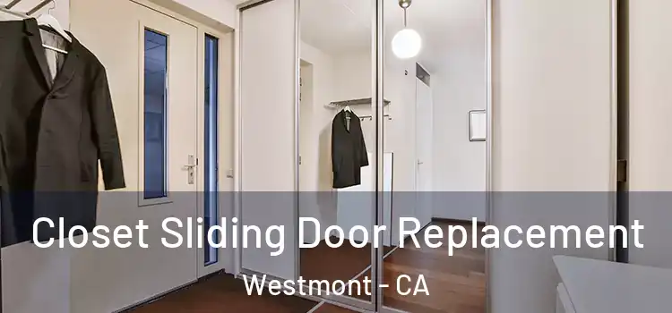 Closet Sliding Door Replacement Westmont - CA