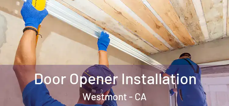 Door Opener Installation Westmont - CA
