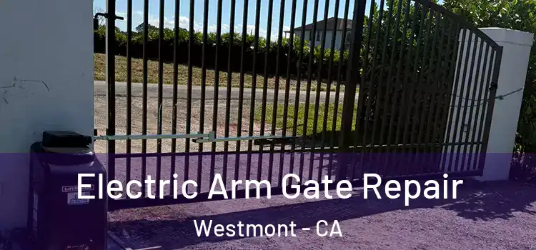 Electric Arm Gate Repair Westmont - CA