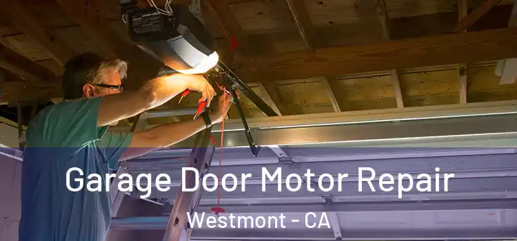  Garage Door Motor Repair Westmont - CA
