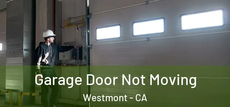  Garage Door Not Moving Westmont - CA