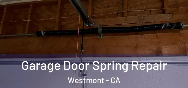  Garage Door Spring Repair Westmont - CA