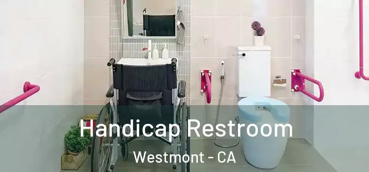 Handicap Restroom Westmont - CA