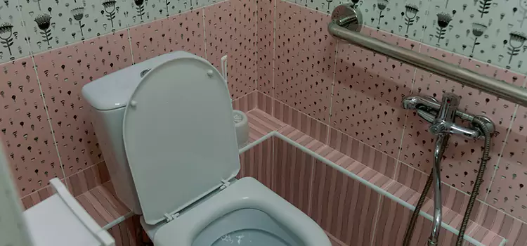 Meeting Diverse Needs With Accessible Restroom Solutions in Westmont, CA