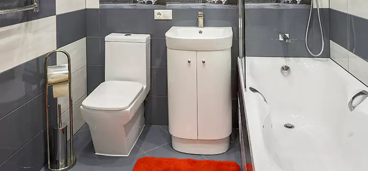Hansgrohe Shaving Mirror Westmont