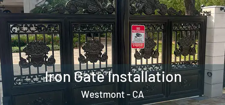 Iron Gate Installation Westmont - CA