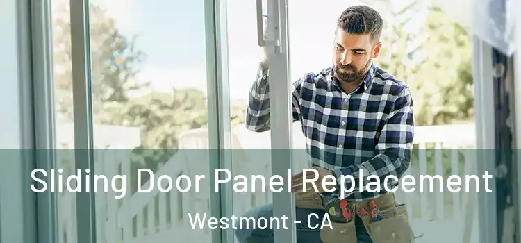 Sliding Door Panel Replacement Westmont - CA